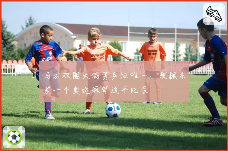 马龙双圈大满贯乒坛唯一,樊振东差一个奥运冠军追平纪录