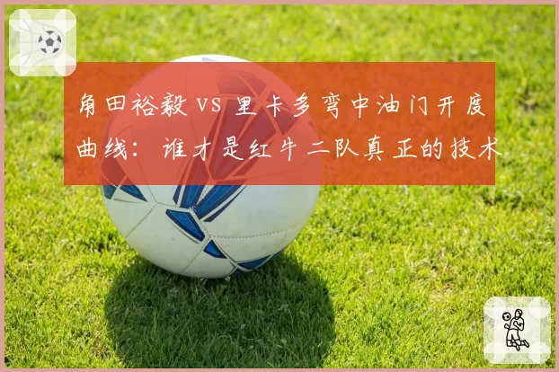 角田裕毅 vs 里卡多弯中油门开度曲线:谁才是红牛二队真正的技术图腾?