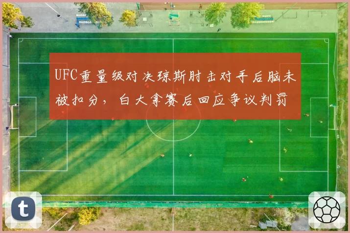 UFC重量级对决琼斯肘击对手后脑未被扣分，白大拿赛后回应争议判罚
